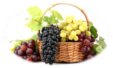 Какой виноград самый полезный – Курская правда